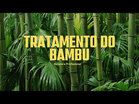 Tratamento Do Bambu - Bambu Para Sempre! O Segredo do Tratamento Profissional