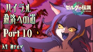 【ティアキン】ハイラル救済への道 Part.10【ケモノV】