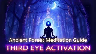 Third Eye Activation: Ancient Forest Meditation Guide Net Worth