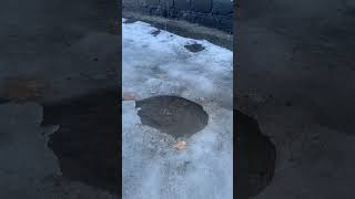 Капель жизнь в деревне