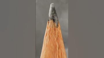 How do pencils replicate... 🤔😱 #shortsfeed #youtubeshorts #shorts #pencil #macro #micro #closeup