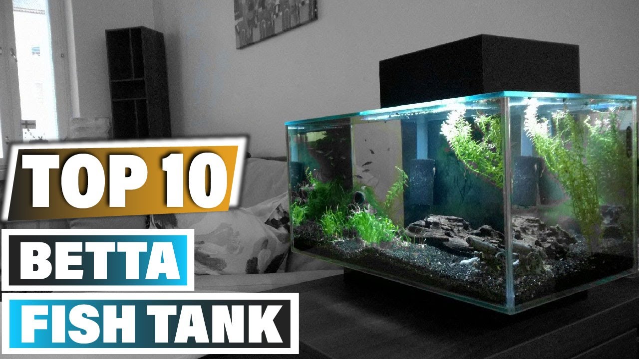 as Nano LED Aquarium, 10 – 23l