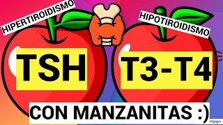 TSH, T3 Y T4 CON MANZANITAS | HORMONAS TIROIDEAS