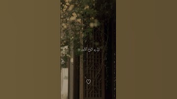 #القرآن_الكريم#اكتب_شي_تؤجر_عليه  #اسلام_صبحي #اذكار_الصباح #اذكر_الله #مصر #الشويتي