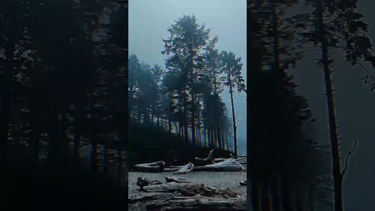 Watch STARKILLAX, ZXLXN - emotion (SLOWED) on YouTube Watch STARKILLAX, ZXLXN - emotion (SLOWED) on YouTube