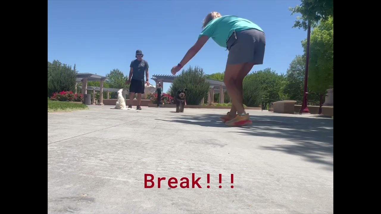 13 - Annie works with new IK9 Trainees and Shelly Bayless 