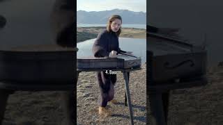Anyone asked for Sandstorm on kantele in Iceland? 🌋🎶 #music #cover #sandstorm #darude