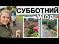 СУББОТНИЙ VLOG/ОПЯТЬ ЕДЕМ НА ЯРМАРКУ/РЕСТОРАНЫ И ПАБЫ ИРЛАНДИИ/РОЗАРИЙ/ПОКУПКИ ИЗ ПОЛЬСКОГО МАГАЗИНА