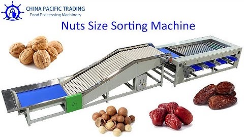 Walnut Grading Machine|Date Sorting Machine|Macadamia Sorting Machine|Size Sorting Machine