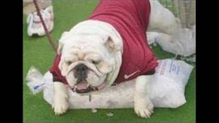 Uga VI Remembered