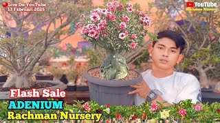 🔴Live Flash Sale Adenium Bunga Tumpuk dan Karakter (13 Februari 2025)#rachmannursery #adenium 🔴Live Flash Sale Adenium Bunga Tumpuk dan Karakter (13 Februari 2025)#rachmannursery #adenium