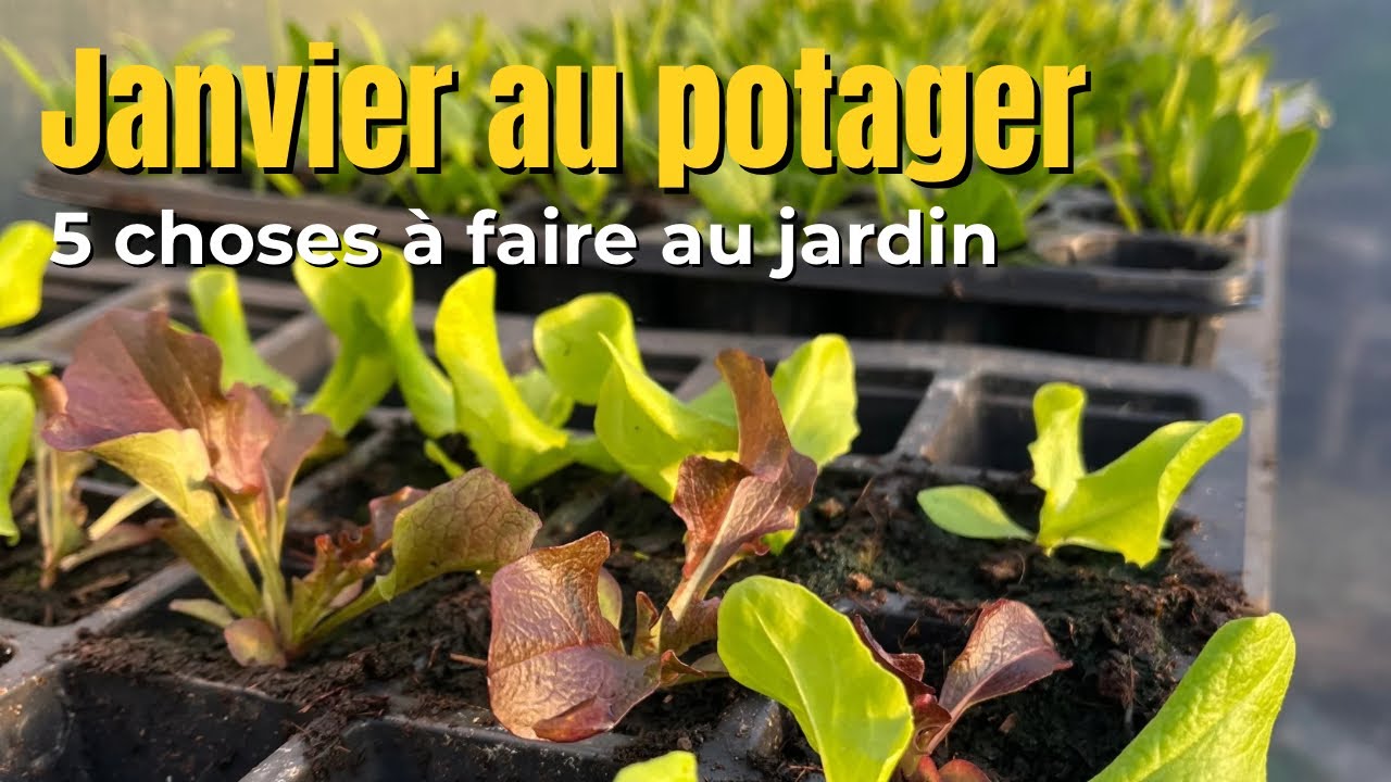 5 choses à faire au jardin en Janvier 