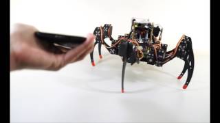 Terasic Spider Robot