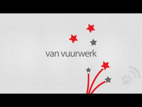 Video: Vuurwerk En Huisdieren Gaan Niet Samen