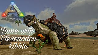Carbonemys Taming - Ark Mobile