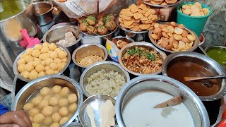 Chaat Heaven of India | Delhi's Popular Bhalla Papdi Chaat | Indian Street Food