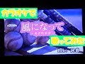 【カラオケで歌ってみた】風になってー勇者的浪漫ー