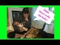 Training Our Dog Not to Bark! Training Our Dog Not to Bark!