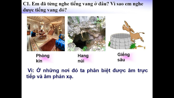 Bài tập phản xạ âm tiếng vang violet năm 2024