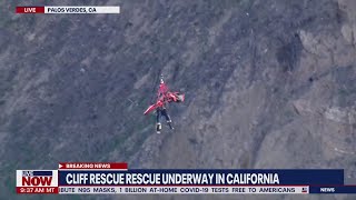 Dramatic cliff rescue in California | LiveNOW from FOX Net Worth