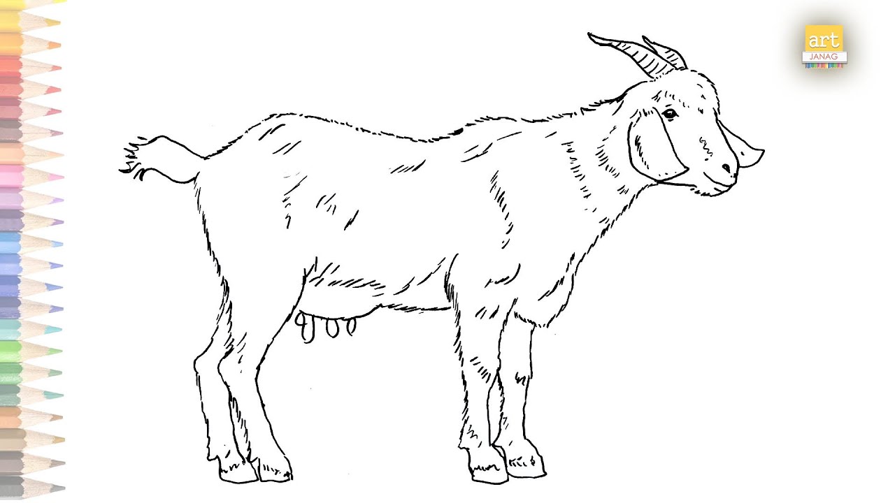 Discover more than 142 goat drawing easy super hot