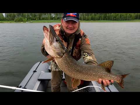 Didn't expect such a beast to bite