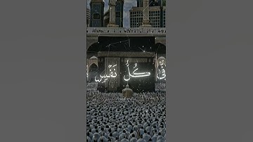 قرآن كريم بصوت جميل ورائع # الشيخ ياسر الدوسري # السيخ خالد الجليل