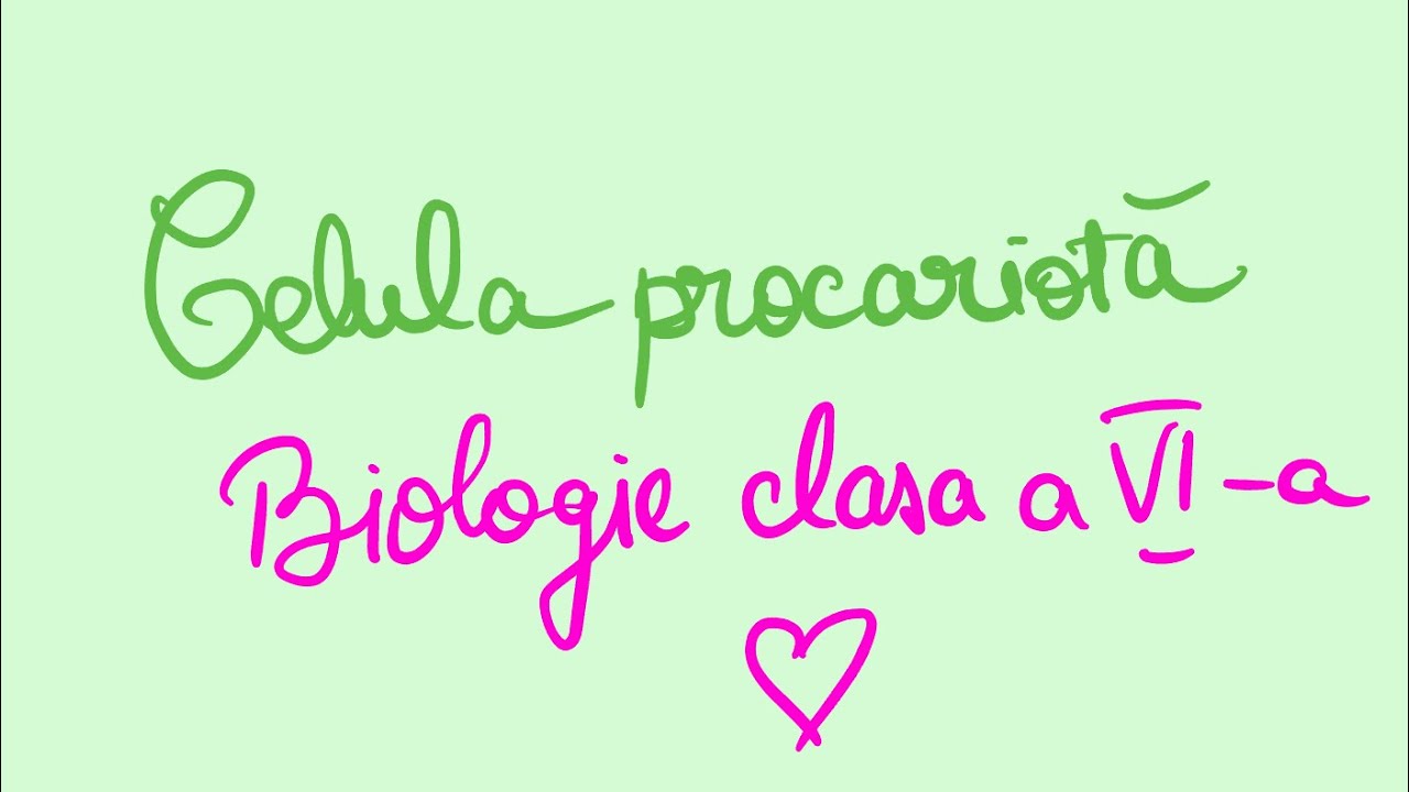 🟪 Celula procariotă | Biologie clasa a VI-a 