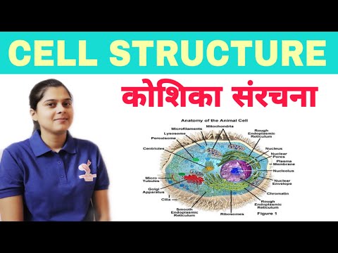Biology | Cell Structure in Hindi | कोशिका संरचना | Chapter 7