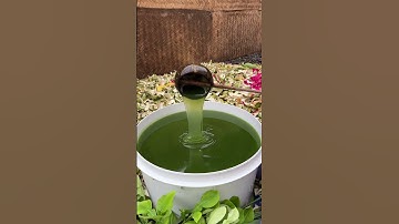 [Mocnhanvietnam] Dầu gội bưởi rừng - Giúp tóc con mọc nhanh như nấm mọc sau mưa