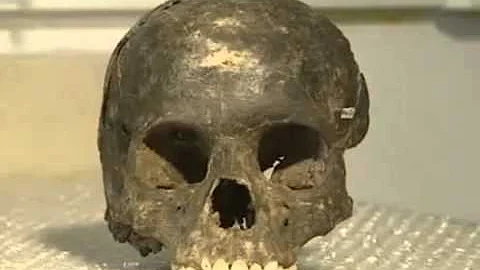 Blacks were the indigenous people in America