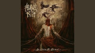 Mirror of Sympathy