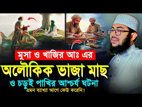 মুসা ও খিজির আঃ এর অলৌকিক মাছ ভাজা ও চড়ুই পাখির আশ্চর্য ঘটনা | ইয়াহইয়া তাকী | Yahya Taky Official