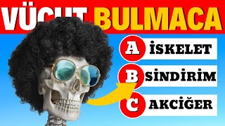 Vücut Sırlarını Keşfet İnsan Anatomisi Üzerine Bilgi Testi