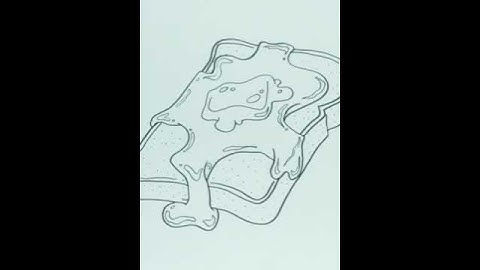 How To Draw FRENCH TOAST Step by Step