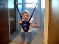 Baby Door Swing