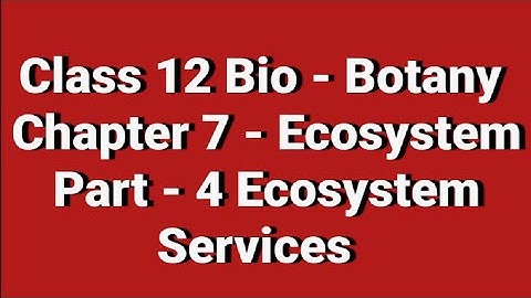 Class 12 / Bio - Botany/Chapter 7 - Ecosystem