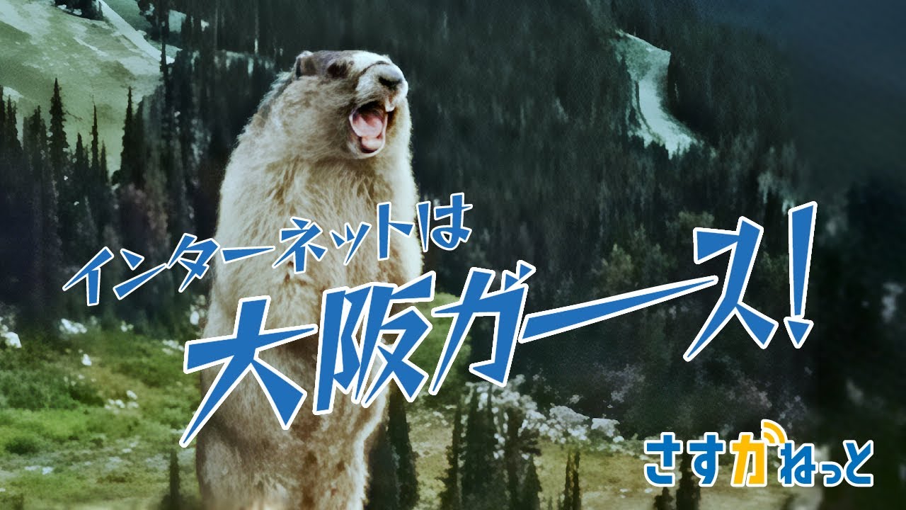 マーモット 叫ぶ