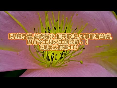 經文:【操練身體,益處還少,惟獨敬虔,凡事都有益處,因有今生和來生的應許。】(提摩太前書4:8)