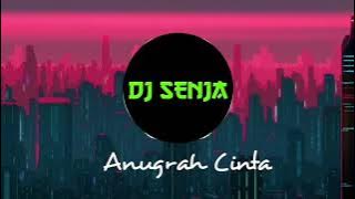 Anugrah Cinta Remix slow #cirebon #indramayu #musik #tiktok #sitialiyah #tarling