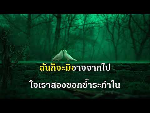 หากรู้สักนิด ดาวใจ ไพจิตร คาราโอเกะ เพลงลูกกรุง หญิง เพลงเอก The Golden Song Karaoke