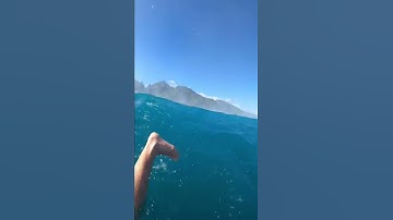 Thumbnail of THIS IS NOT A WAVE BUT THE ENTIRE OCEAN FOLDING OVER