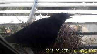 20170929T1130~1200