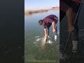 氷の発見：凍った水面を突き破って大物を釣り上げる