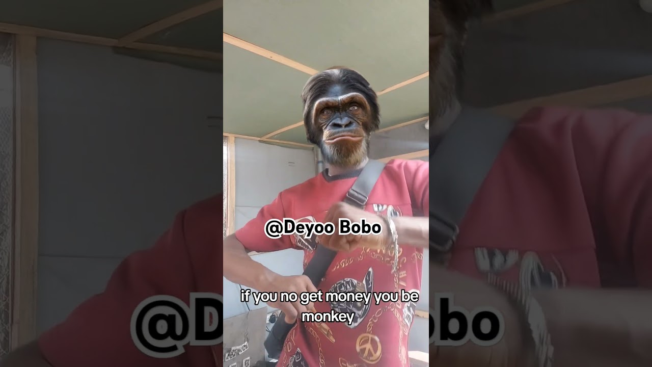 if you no get money you be monkey 