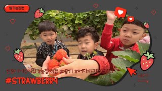 2023년 4월 18일 딸기농장체험