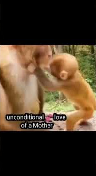 Mother's love|unconditional love of a Mother||#like#share #subscribebyKubra's entertainment #Shorts