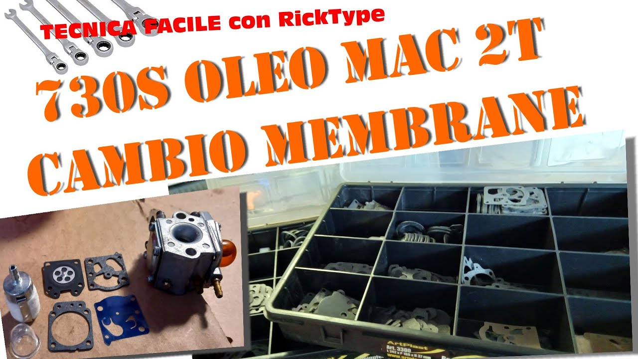 730S Come revisiono il carburatore Walbro e cambio membrane primer spillo