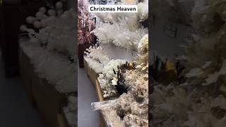 All things Christmas G&G distributor ￼ #christmas2023 #christmas #athome #G&Gdistributor #hobbylobby