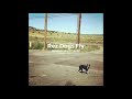 Rez Dogs Fly - Hataaliinez Wheeler